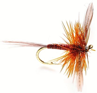 Houghton Ruby -Flies for High Summer on the Chalkstreams