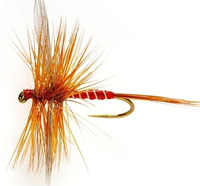 Lunn's Particular Dry Fly - Bill Latham - Chalkstream Guide