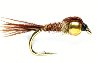 PTN- Chalkstream- Bill Latham