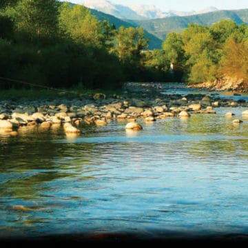 Salvelinus, spain, fly fishing, pyrenees, trout