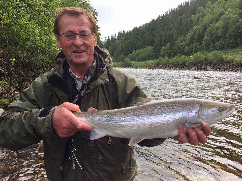 Gaula River, Winsnes Lodge, Norway, Atlantic salmon