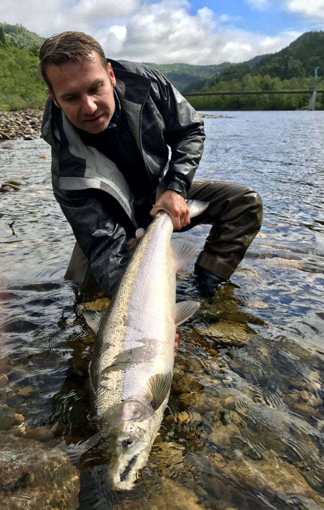 Gaula River, Norwegian Flyfishers Club, NFC, Norway, Atlantic salmon