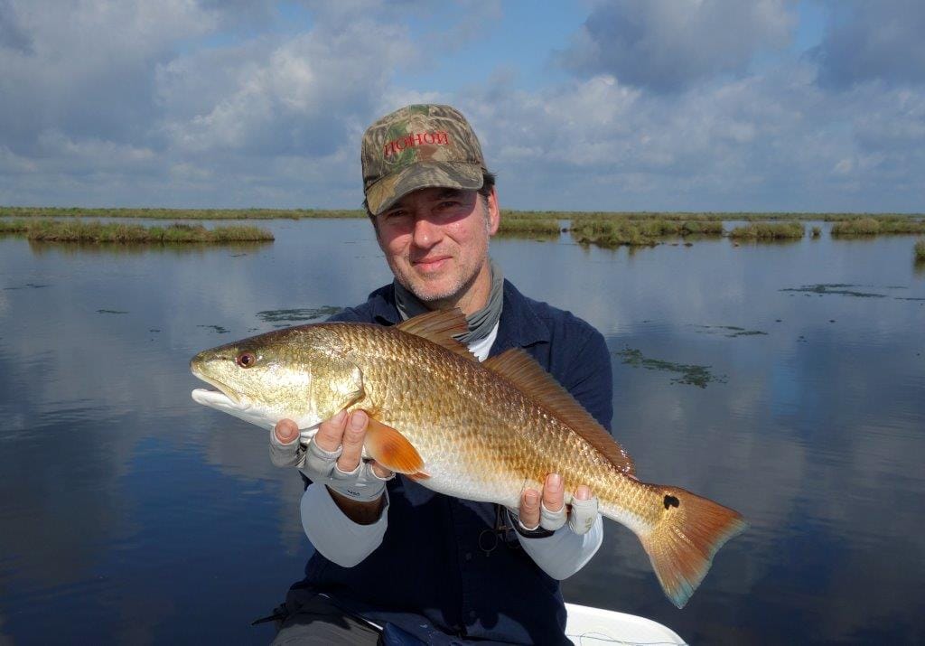 Red fish, Louisiana, USA, Aardvark McLeod