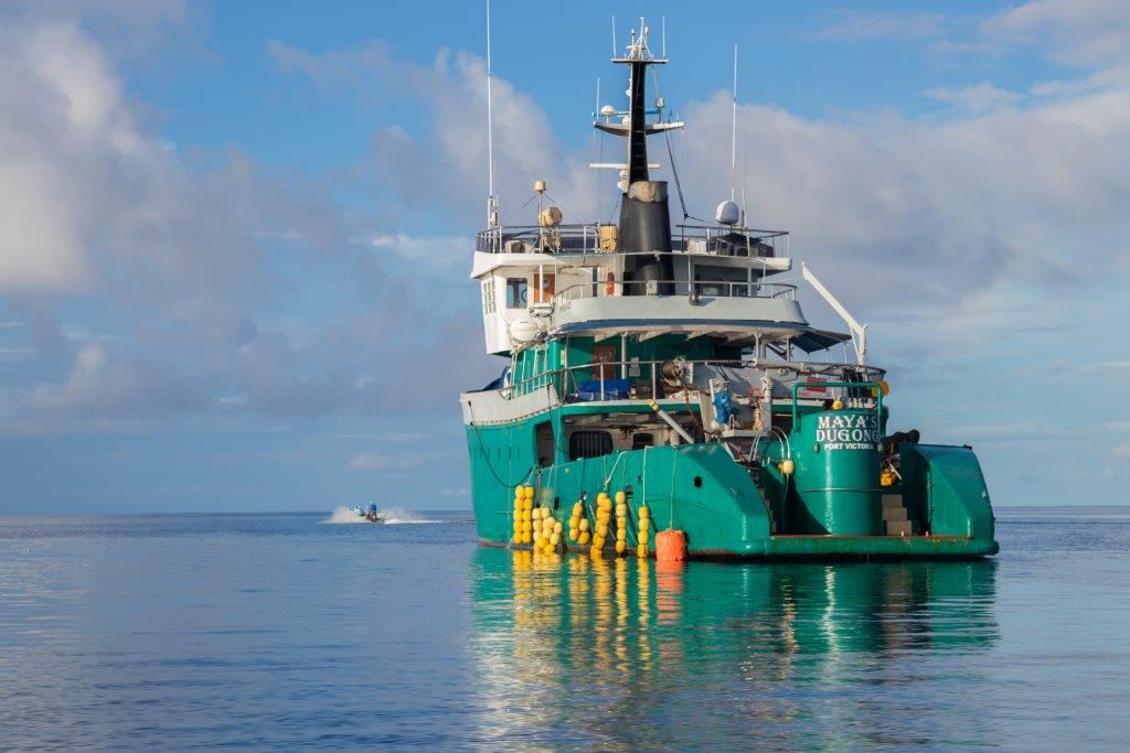 Providence Atoll, Seychelles, Aardvark McLeod