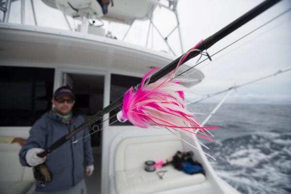 Blue Marlin Mothership Expedition, Costa Rica, Aardvark McLeod