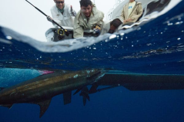 Blue Marlin Mothership Expedition, Costa Rica, Aardvark McLeod