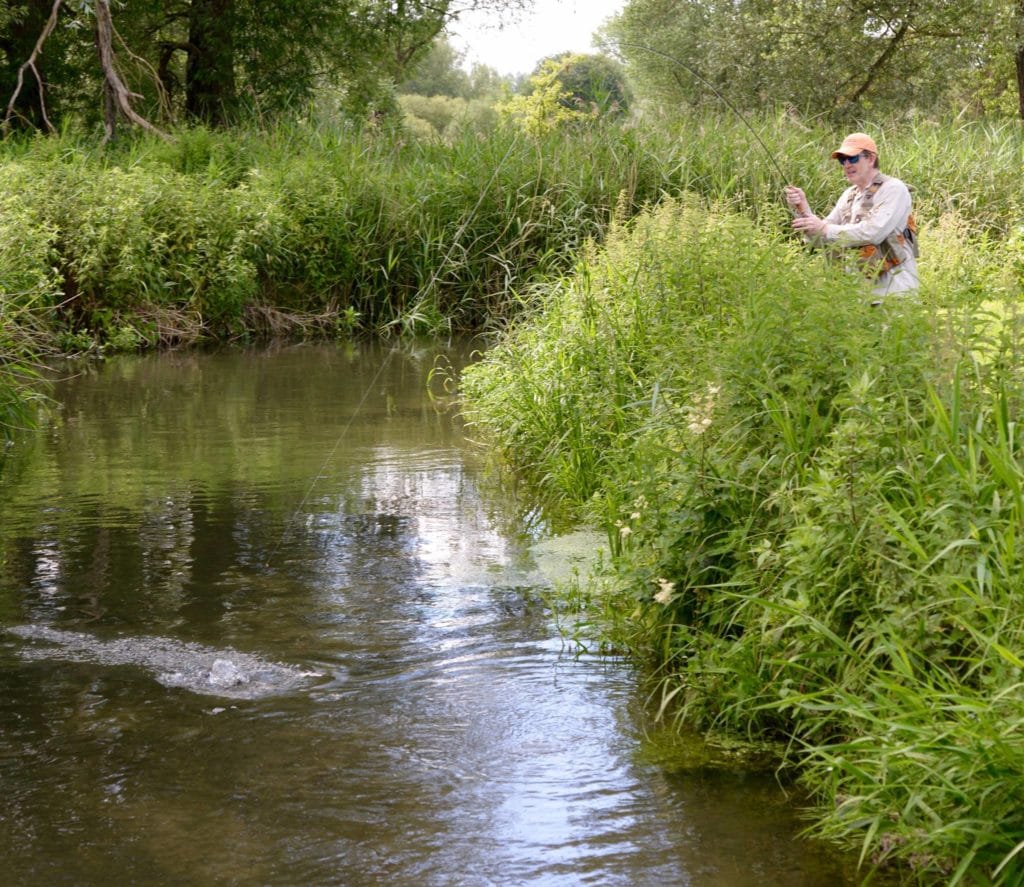 River Kennet, Chalkstream fishing, Berkshire, UK fishing guide