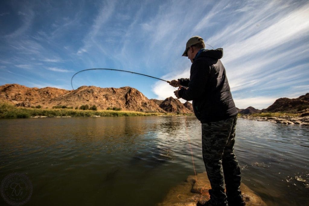 Kalarhari Yellowfish, Orange River, South Africa, Aardvark McLeod, largemouth yellowfish, smallmouth yellowfish, Alex Jardine