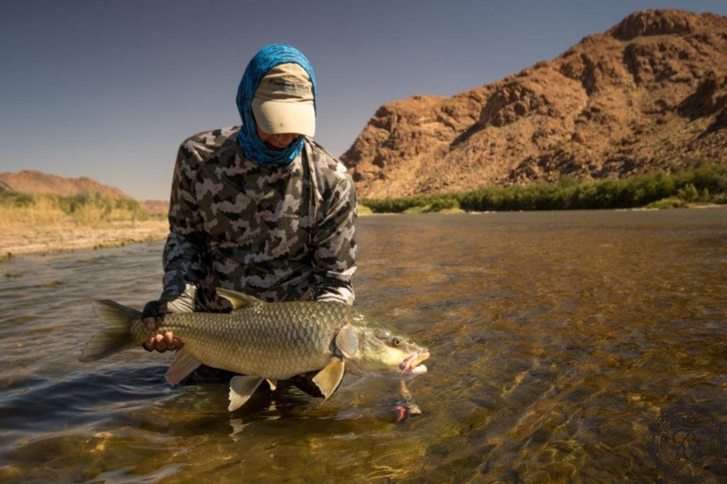 Kalarhari Yellowfish, Orange River, South Africa, Aardvark McLeod, largemouth yellowfish, smallmouth yellowfish, Alex Jardine