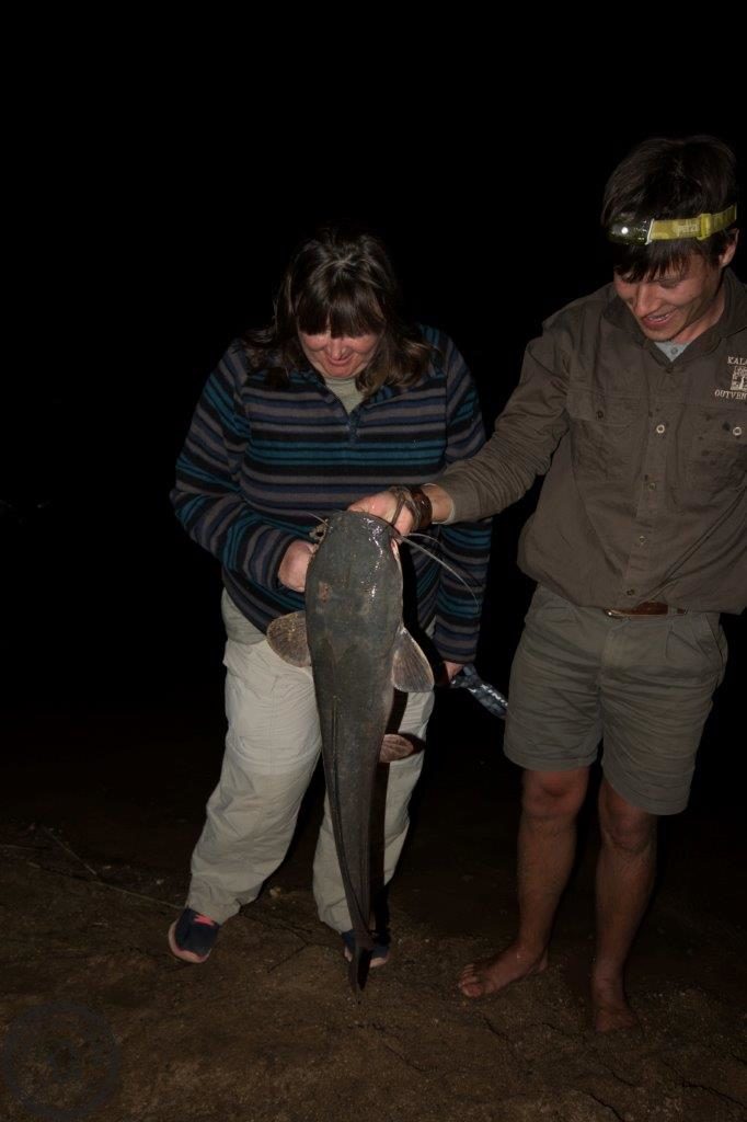 Kalarhari Yellowfish, Orange River, South Africa, Aardvark McLeod, largemouth yellowfish, smallmouth yellowfish, Alex Jardine