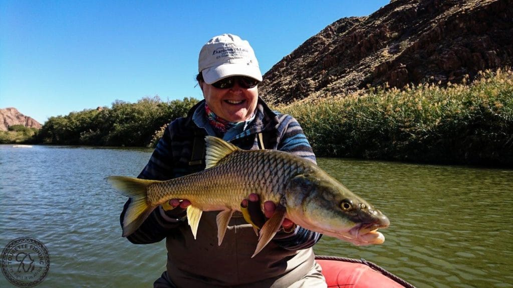 Kalarhari Yellowfish, Orange River, South Africa, Aardvark McLeod, largemouth yellowfish, smallmouth yellowfish, Alex Jardine