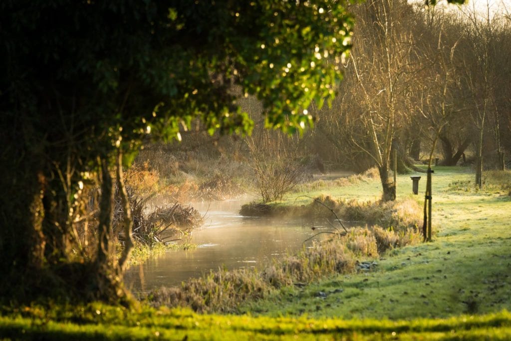 River Nadder, Chalkstream fishing, Berkshire, UK fishing guide