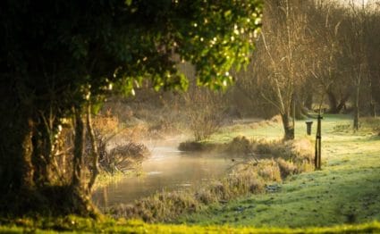 River Nadder, Chalkstream fishing, Berkshire, UK fishing guide