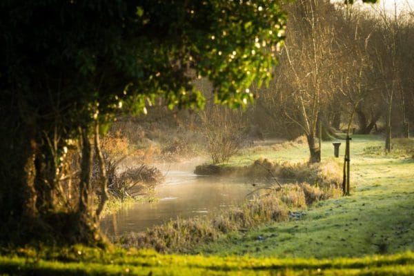 River Nadder, Chalkstream fishing, Berkshire, UK fishing guide