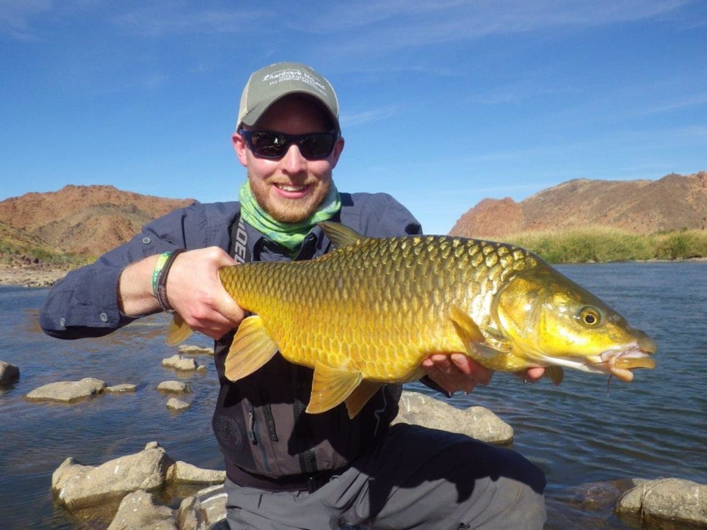 Kalarhari Yellowfish, Orange River, South Africa, Aardvark McLeod, largemouth yellowfish, smallmouth yellowfish, Alex Jardine