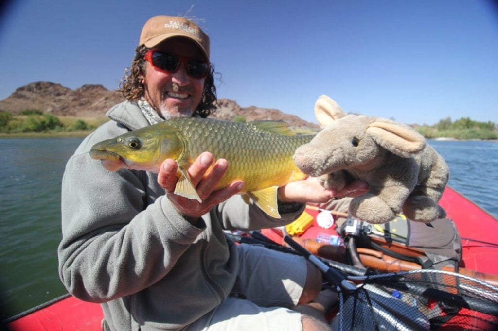 Kalarhari Yellowfish, Orange River, South Africa, Aardvark McLeod, largemouth yellowfish, smallmouth yellowfish, Alex Jardine