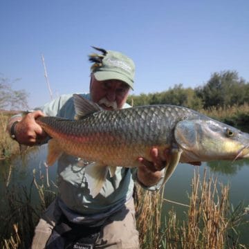 Kalarhari Yellowfish, Orange River, South Africa, Aardvark McLeod, largemouth yellowfish, smallmouth yellowfish, Alex Jardine