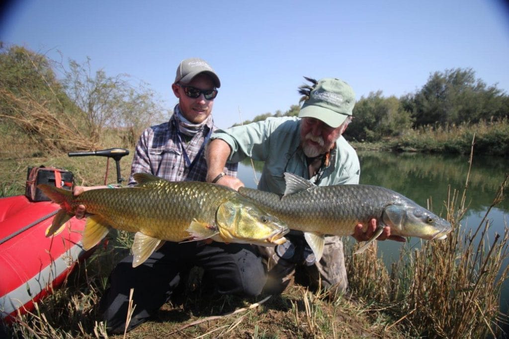 Kalarhari Yellowfish, Orange River, South Africa, Aardvark McLeod, largemouth yellowfish, smallmouth yellowfish, Alex Jardine