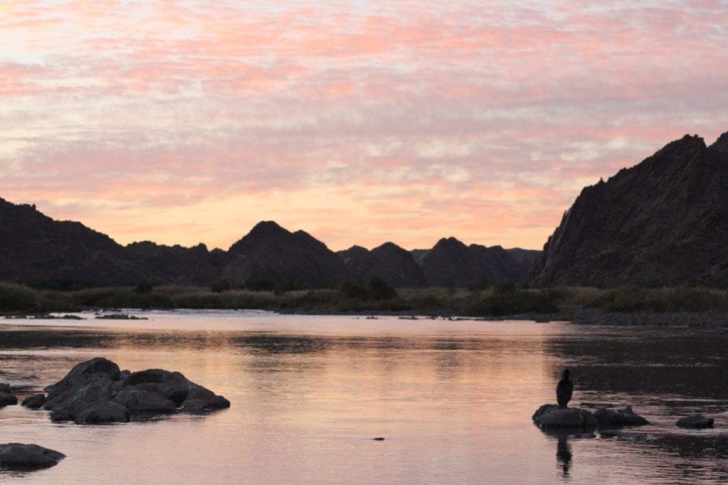 Kalarhari Yellowfish, Orange River, South Africa, Aardvark McLeod, largemouth yellowfish, smallmouth yellowfish, Alex Jardine