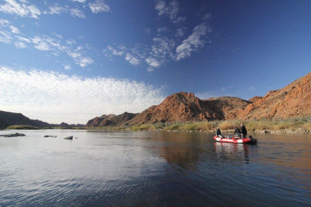 Kalarhari Yellowfish, Orange River, South Africa, Aardvark McLeod, largemouth yellowfish, smallmouth yellowfish, Alex Jardine