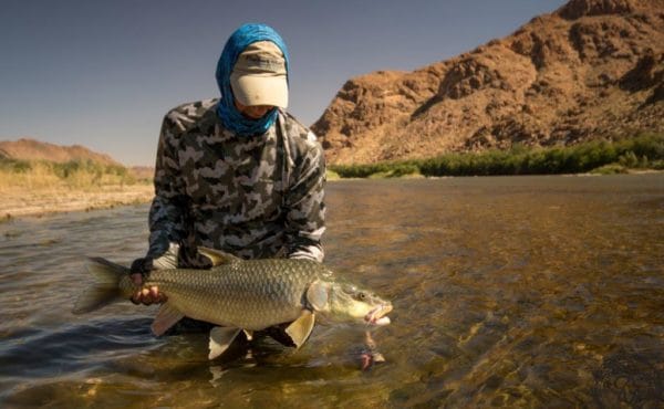 Kalarhari largemouth yellowfish, Orange River, South Africa, Aardvark McLeod, largemouth yellowfish, smallmouth yellowfish