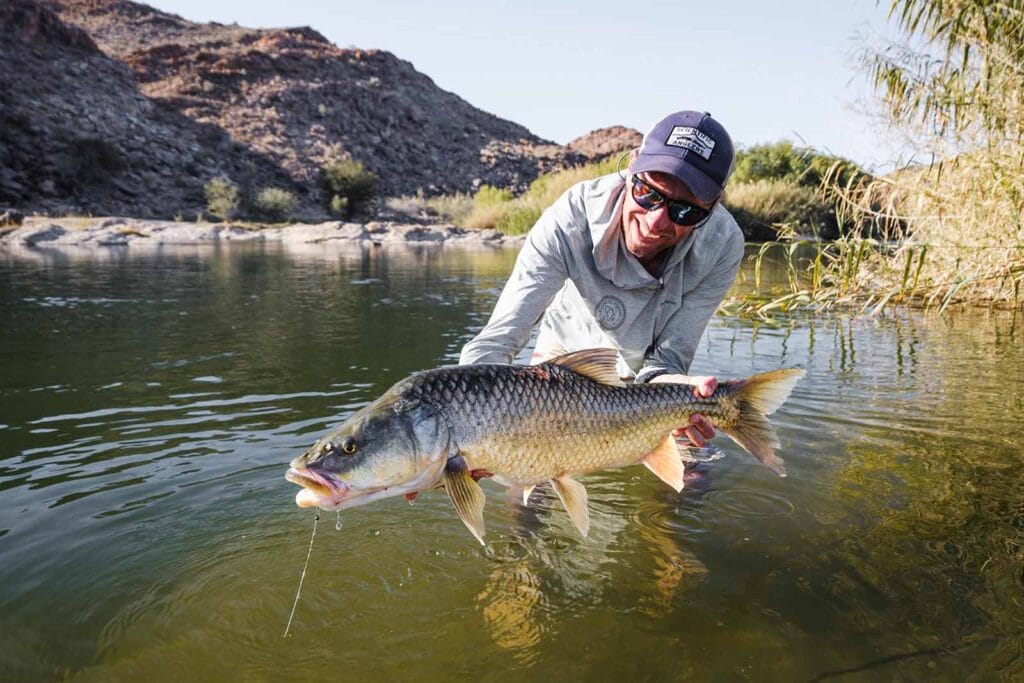 Largemouth yellowfish, Kalahari, South Africa, Orange River fly fishing, South Africa fly fishing, Kalahari fly fishing, Aardvark McLeod