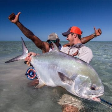 Abaco Lodge, Bahamas, Aardvark McLeod