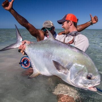 Abaco Lodge, Bahamas, Aardvark McLeod