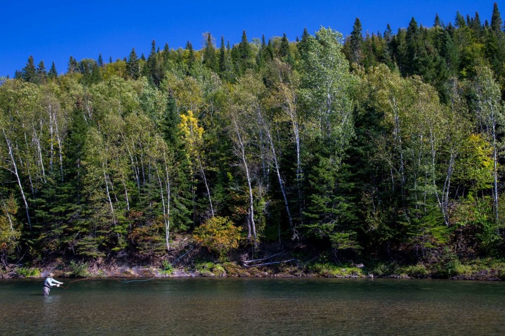 Camp Bonaventure, Salmon Lodge, Canadian Salmon Club, Grand Cascapedia, Petite Cascapedia, Dry fly salmon fishing, bomber fishing, fishing Canada, fishing Quebec, fishing New Brunswick, fishing Bathurst, Atlantic salmon, sight fishing salmon, aardvark mcleod