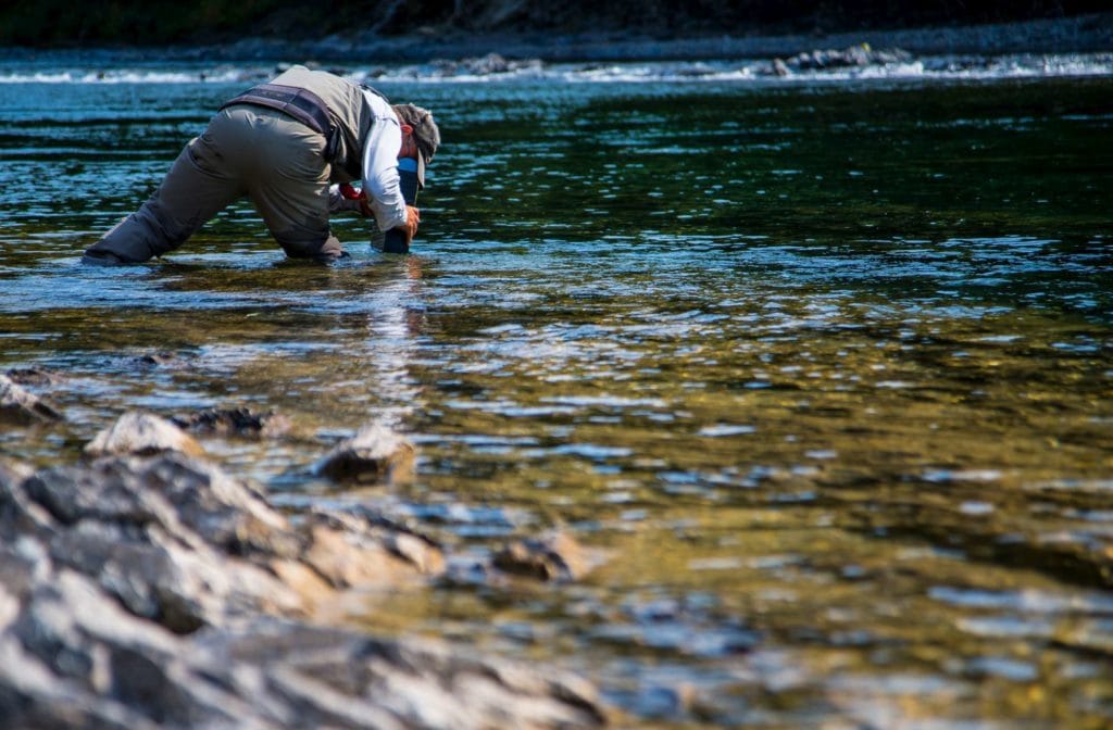 Camp Bonaventure, Salmon Lodge, Canadian Salmon Club, Grand Cascapedia, Petite Cascapedia, Dry fly salmon fishing, bomber fishing, fishing Canada, fishing Quebec, fishing New Brunswick, fishing Bathurst, Atlantic salmon, sight fishing salmon, aardvark mcleod