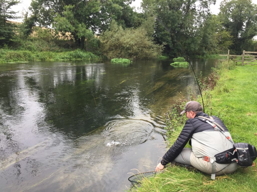 Mayfly, chalkstream, river test, river anton, river avon,