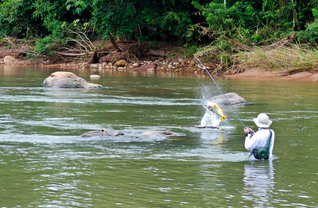 Pluma Lodge, Tsimane, Bolivia, golden dorado, pacu, Bolivia fly fishing, Aardvark McLeod