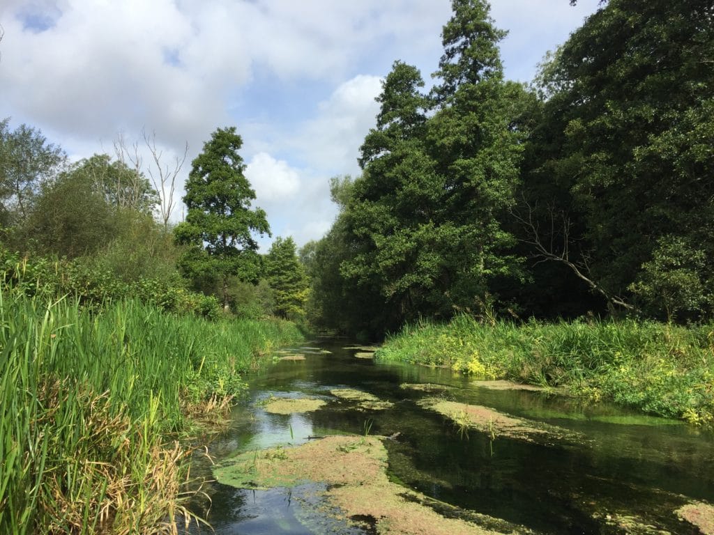 Mayfly, chalkstream, river test, river anton, river avon,