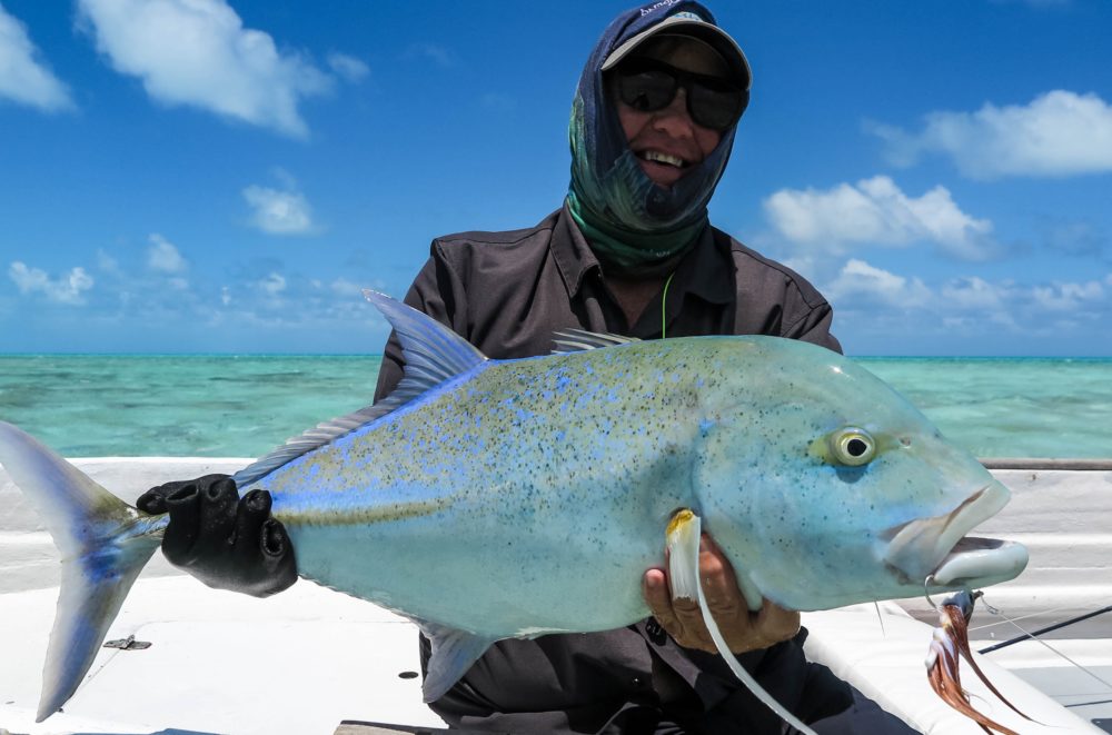 St Brandon's atoll, Mauritius, bonefish, permit, GT, giant trevally, Aardvark McLeod, triggerfish, fishing, fishing in Mauritus
