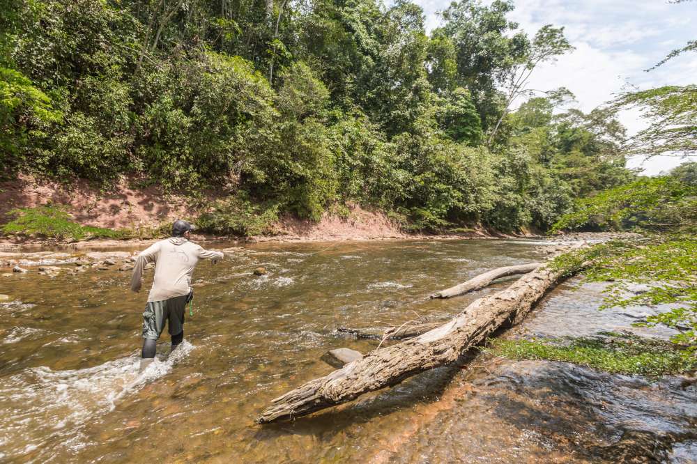 Tsimane, Pluma Lodge, Secure Lodge, Agua Negra, Untamed Angling, jungle fishing, fishing bolivia, fishing santa cruz, golden dorado, pacu, fly fishing, aardvark mcleod