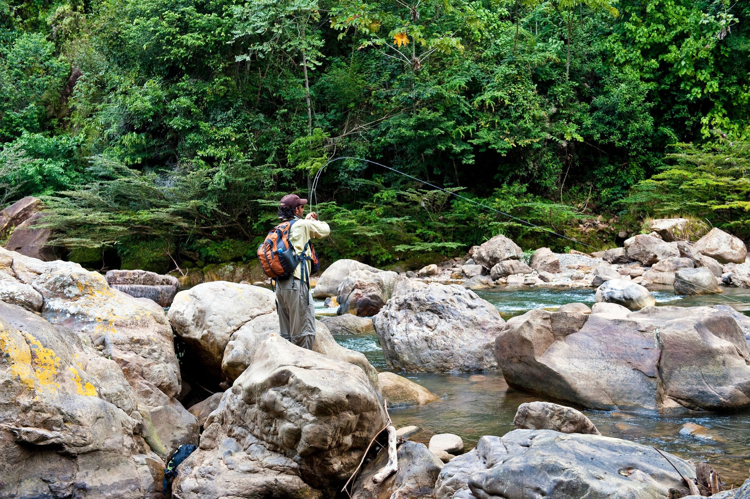 Tsimane, Golden Dorado, Aardvark McLeod