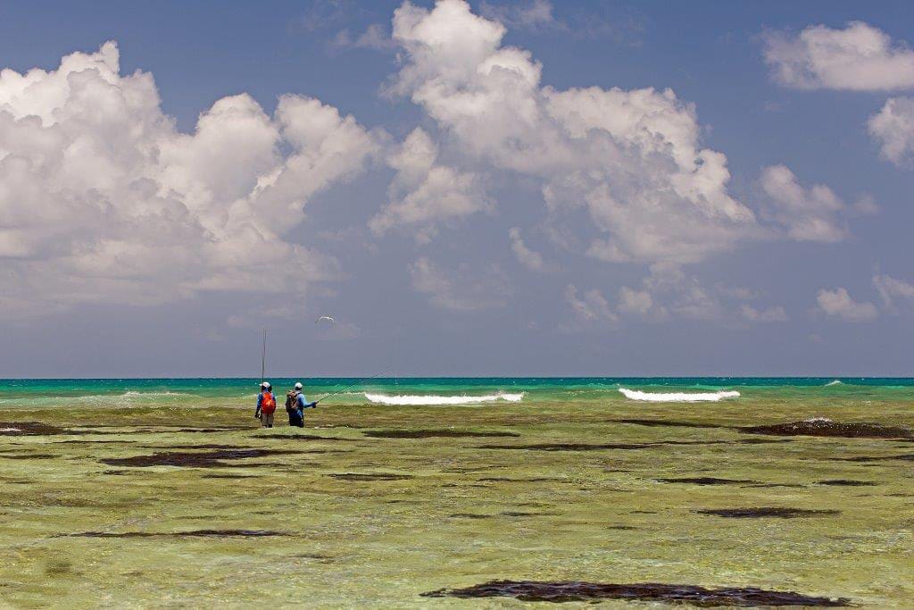 Farquhar Atoll, Seychelles, Aardvark McLeod