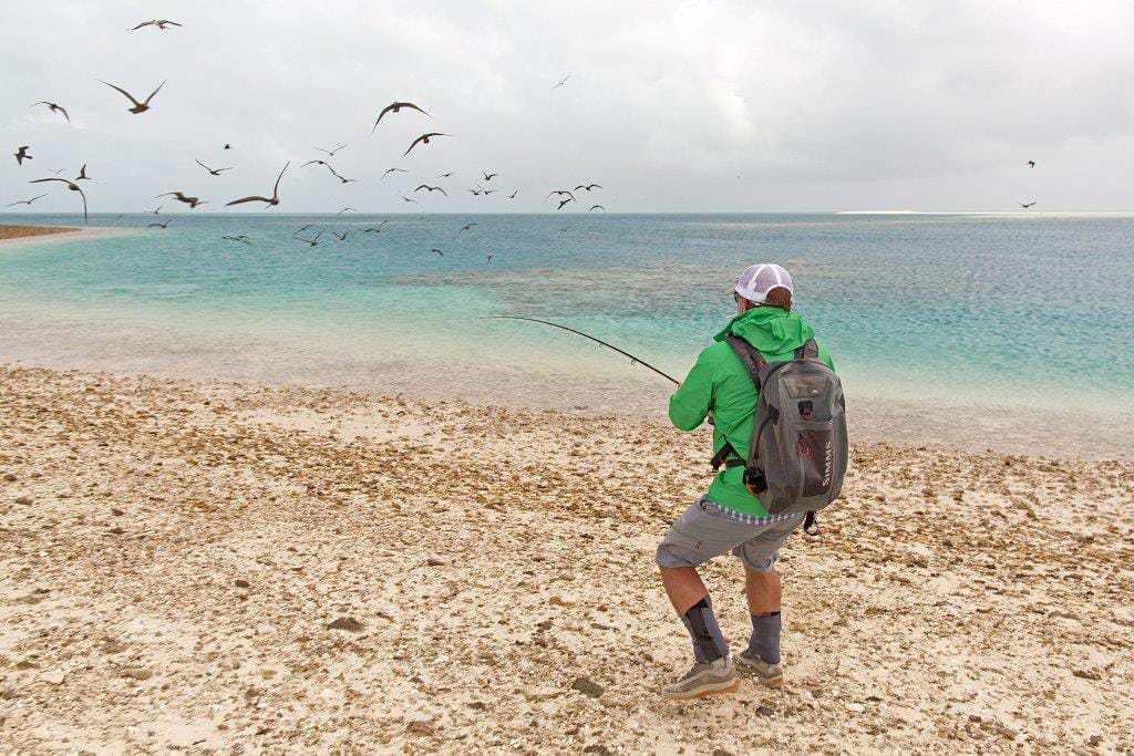 Farquhar Atoll, Seychelles, Aardvark McLeod