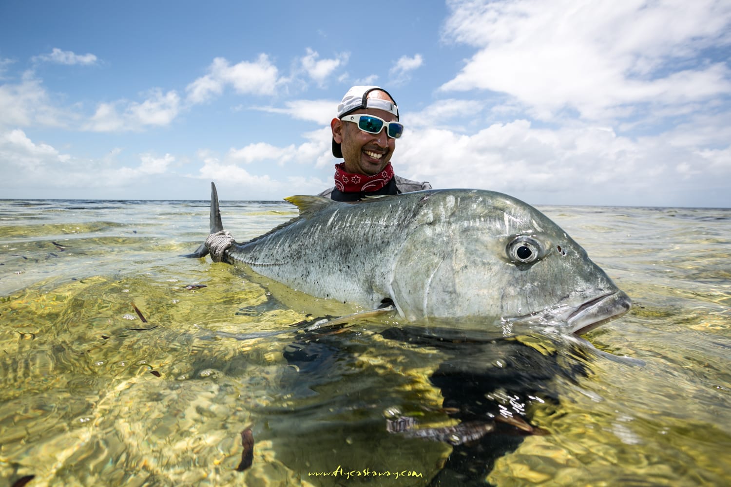 Providence Atoll, Seychelles, Aardvark McLeod