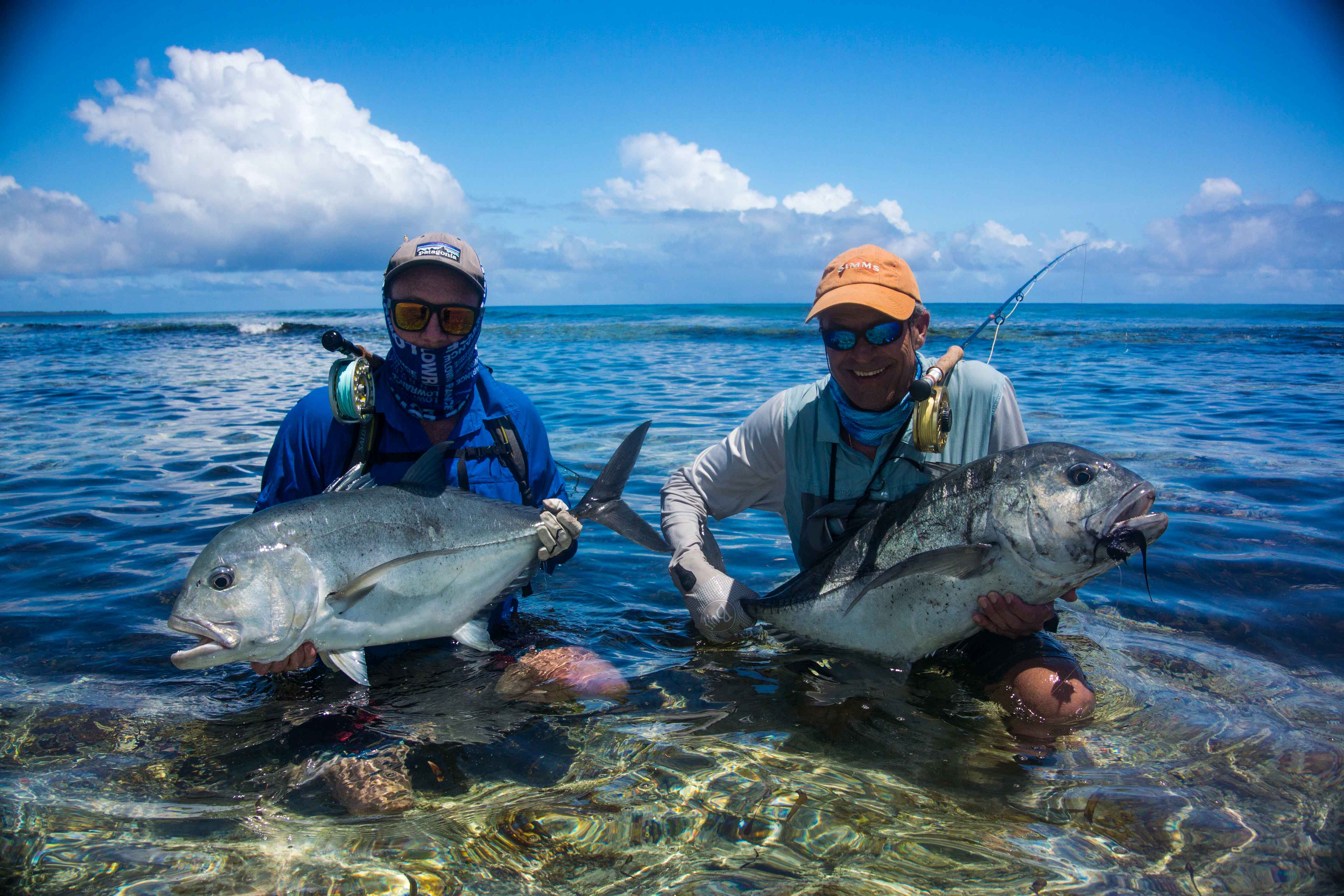 Alphonse Island, Seychelles, Aardvark McLeod