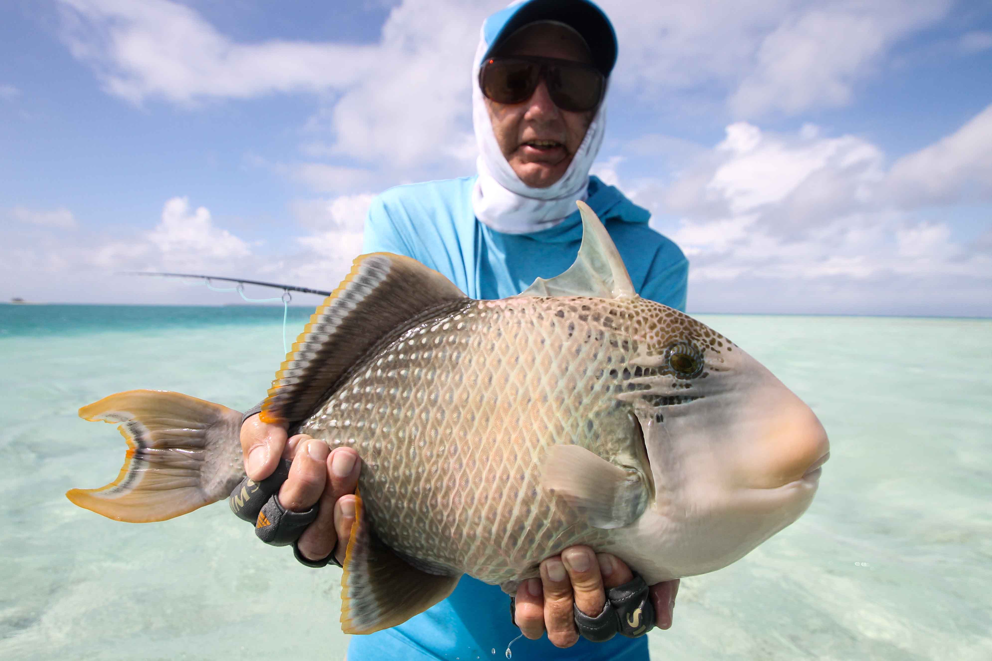 Alphonse Island, Seychelles, Aardvark McLeod