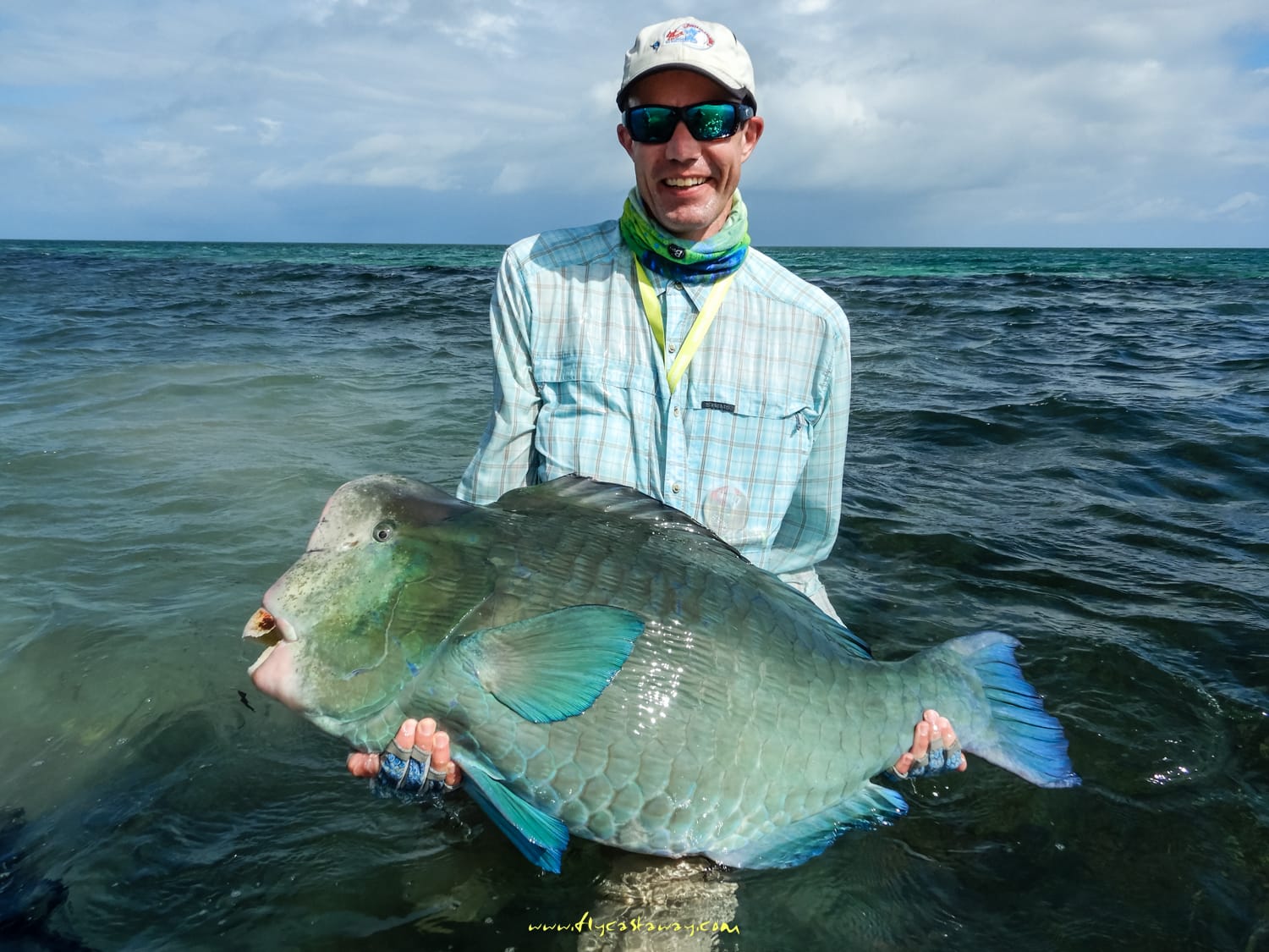 Providence Atoll, Seychelles, Aardvark McLeod