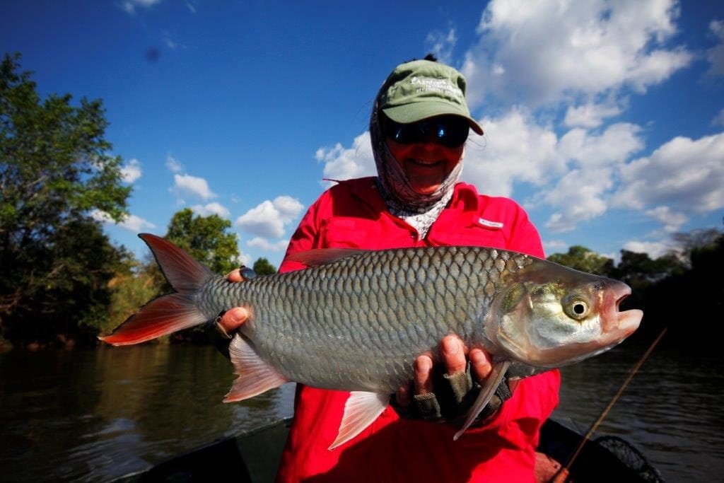 Tanzania, fishing, toothless tiger, Hydrocynus tanzaniae, tigerfish, Aardvark McLeod