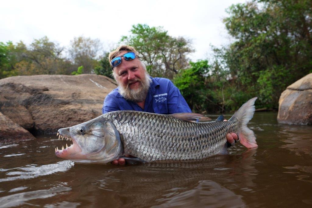 tigerfish on a fly