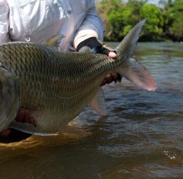 Tanzania, tigerfish, Charlotte Chilcott