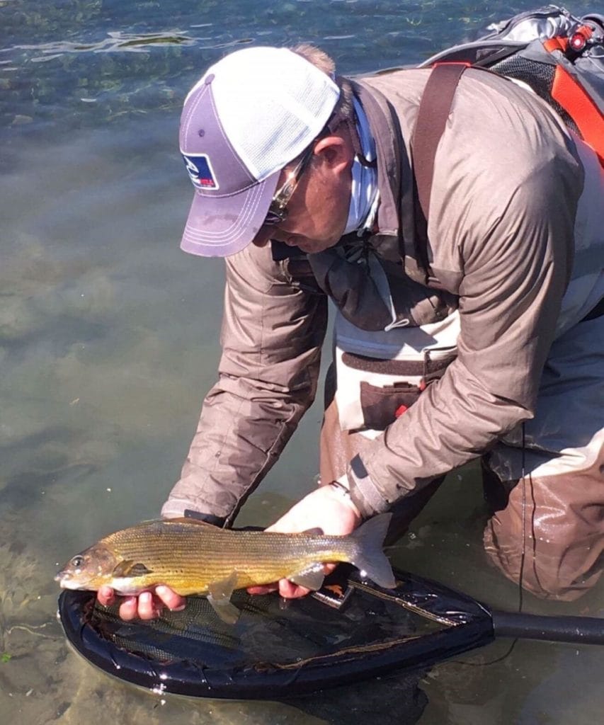 Bosnia, Pliva, trout fishing, Grayling, Phil Ratcliffe