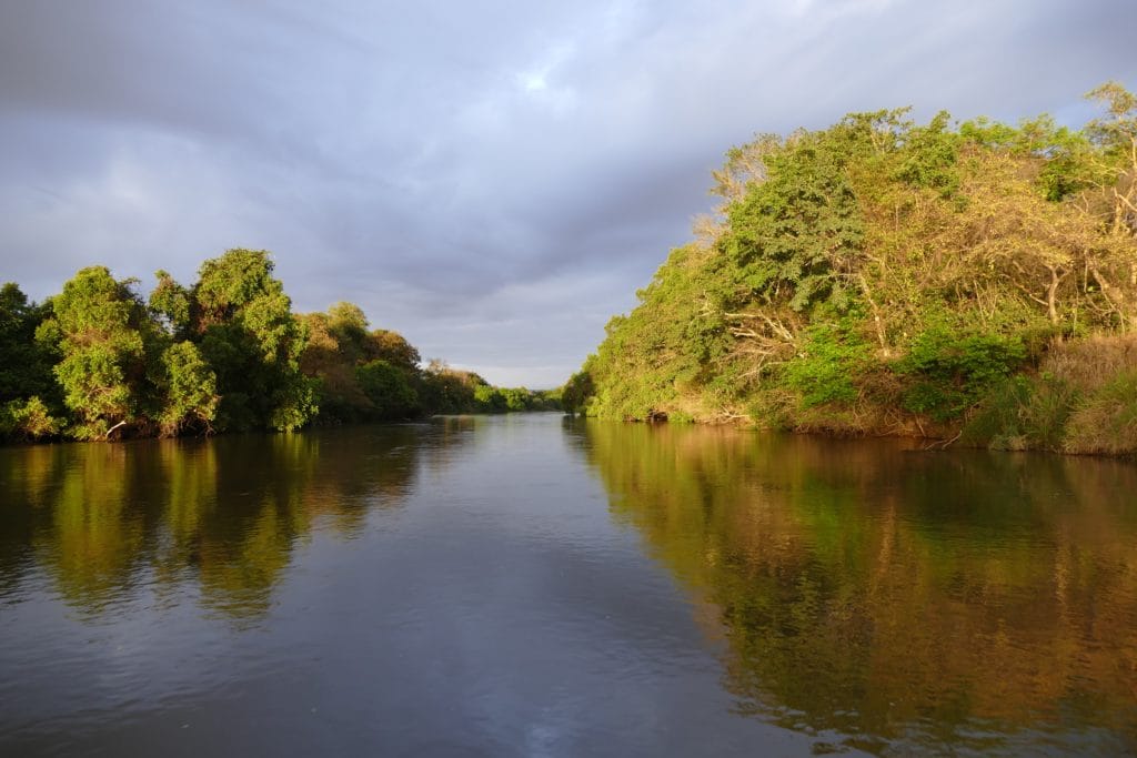 anzania, tigerfish, fishing in Tanzania, Mnynera, Ruhudji, Aardvark McLeod