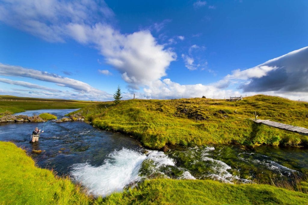 Minnivallalaekur, Minnivallalaekur River, Trout fishing Iceland, Fishing Iceland, Strengir Iceland, huge brown trout, trout on dry fly, Minni, Heckla, fishing nar Hella, fishing near heckla, rising trout, aardvark mcleod