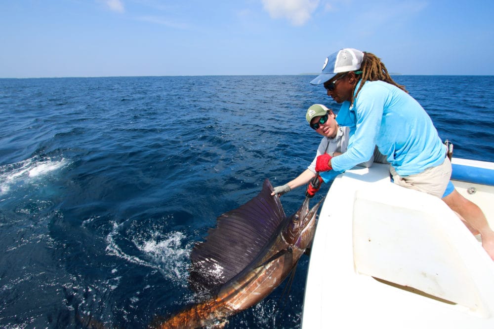 Alphonse, Seychelles, fishing in Seychelles, permit, milkfish, GT, giant trevally, moustache triggerfish, yellowmargin triggerfish, titan triggerfish, fishing in Seychelles, Indian Ocean fishing