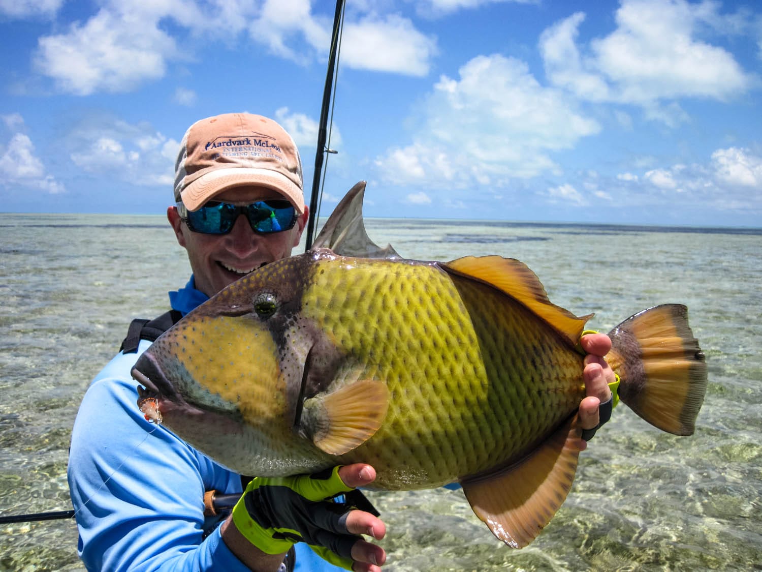 Triggerfish; where to go to target them? - Aardvark Mcleod